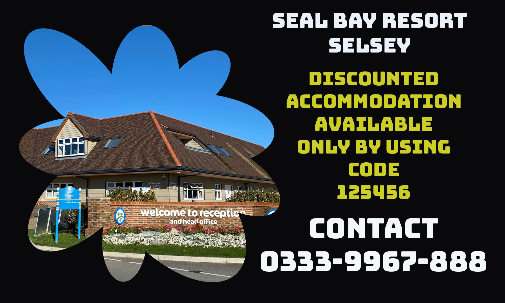 Seal Bay Code copy